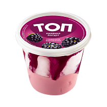 Мороженое двухслойное Биг Топ Ежевика Йогурт 250 гр РБ